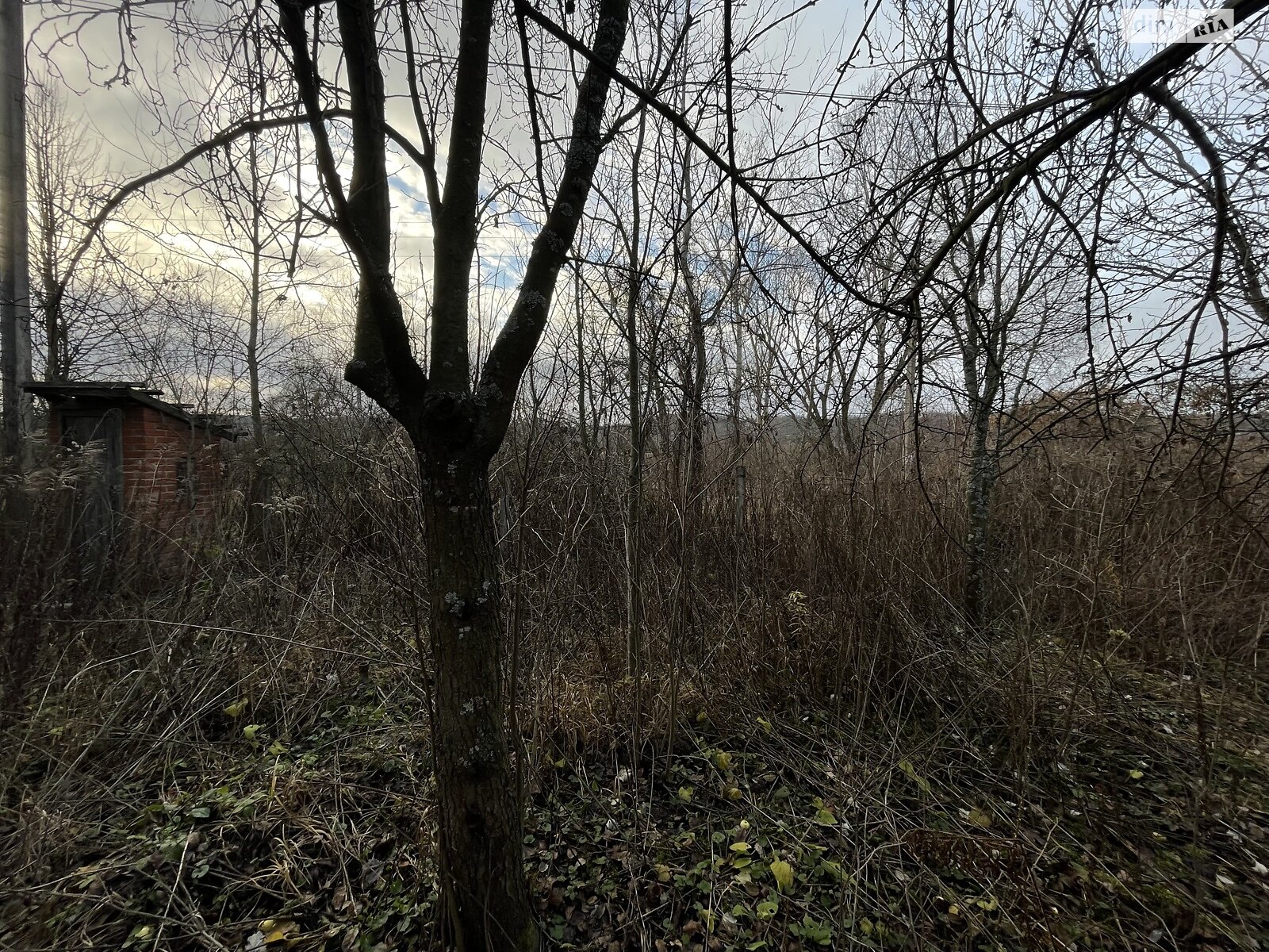 Земельный участок сельскохозяйственного назначения в Полтаве, площадь 7 соток фото 1 Земельный участок сельскохозяйственного назначения в Полтаве, площадь 7 соток фото 1