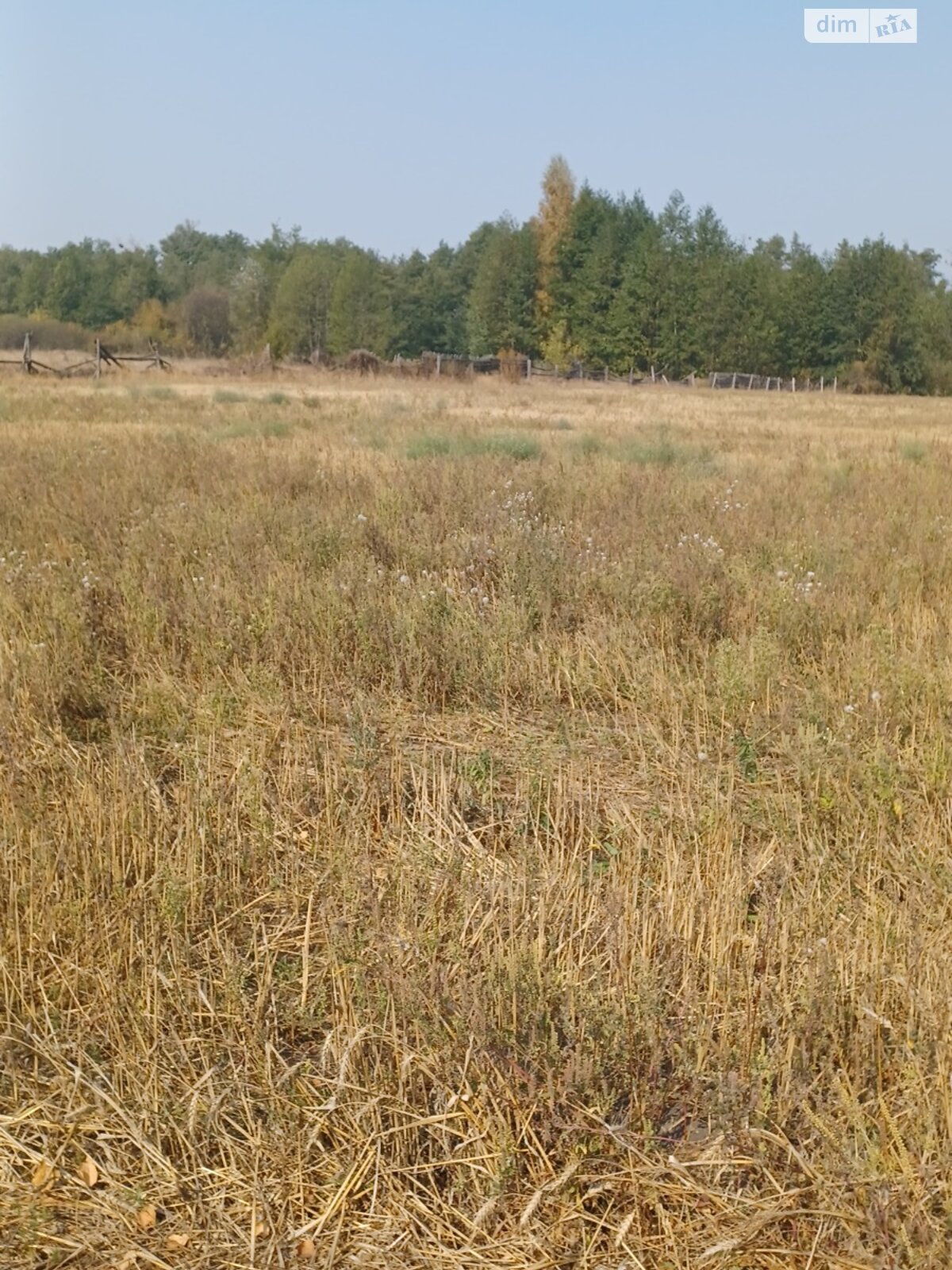 Земля сільськогосподарського призначення в Полтаві, район Полтава, площа 0.3 Га фото 1