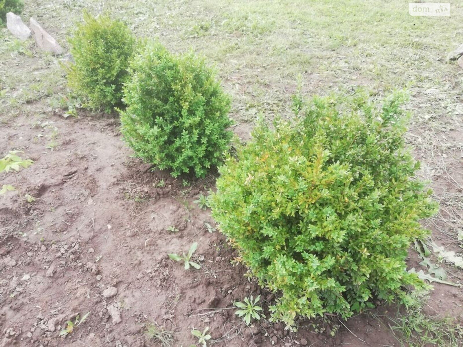 Земля сельскохозяйственного назначения в Полтаве, район Рыбцы, площадь 17 соток фото 1