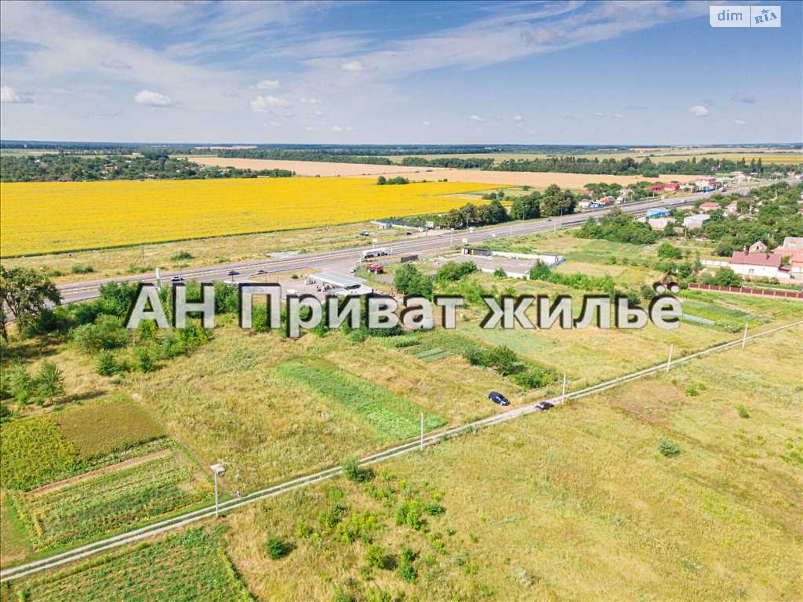 Земельна ділянка сільськогосподарського призначення в Супрунівці, площа 12 соток фото 1