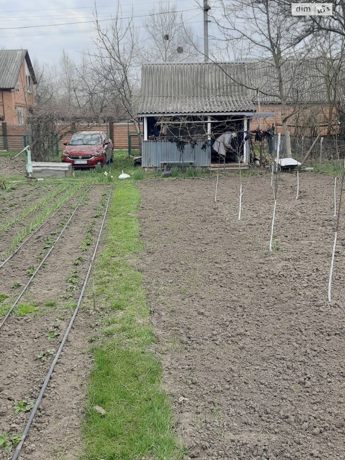 Земельна ділянка сільськогосподарського призначення в Петрівці, площа 12 соток фото 1