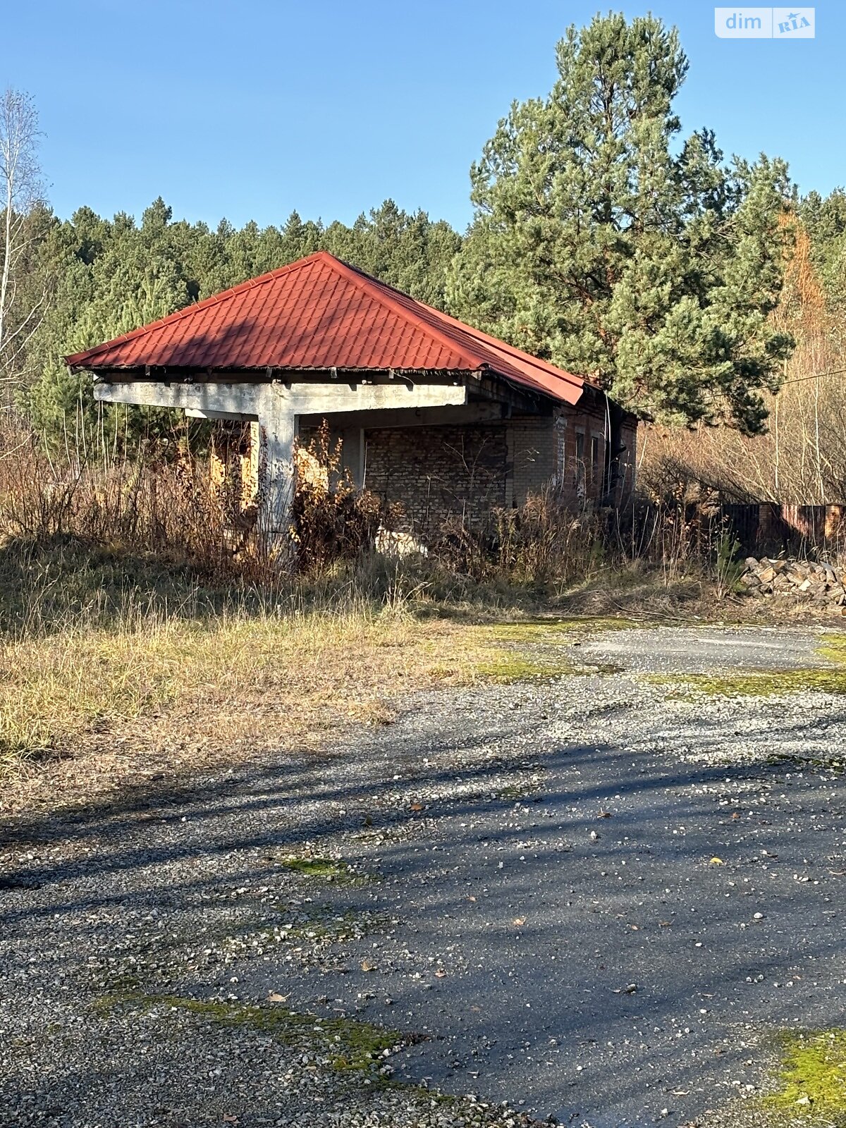 Земельна ділянка сільськогосподарського призначення в Понінці, площа 1 Га фото 1