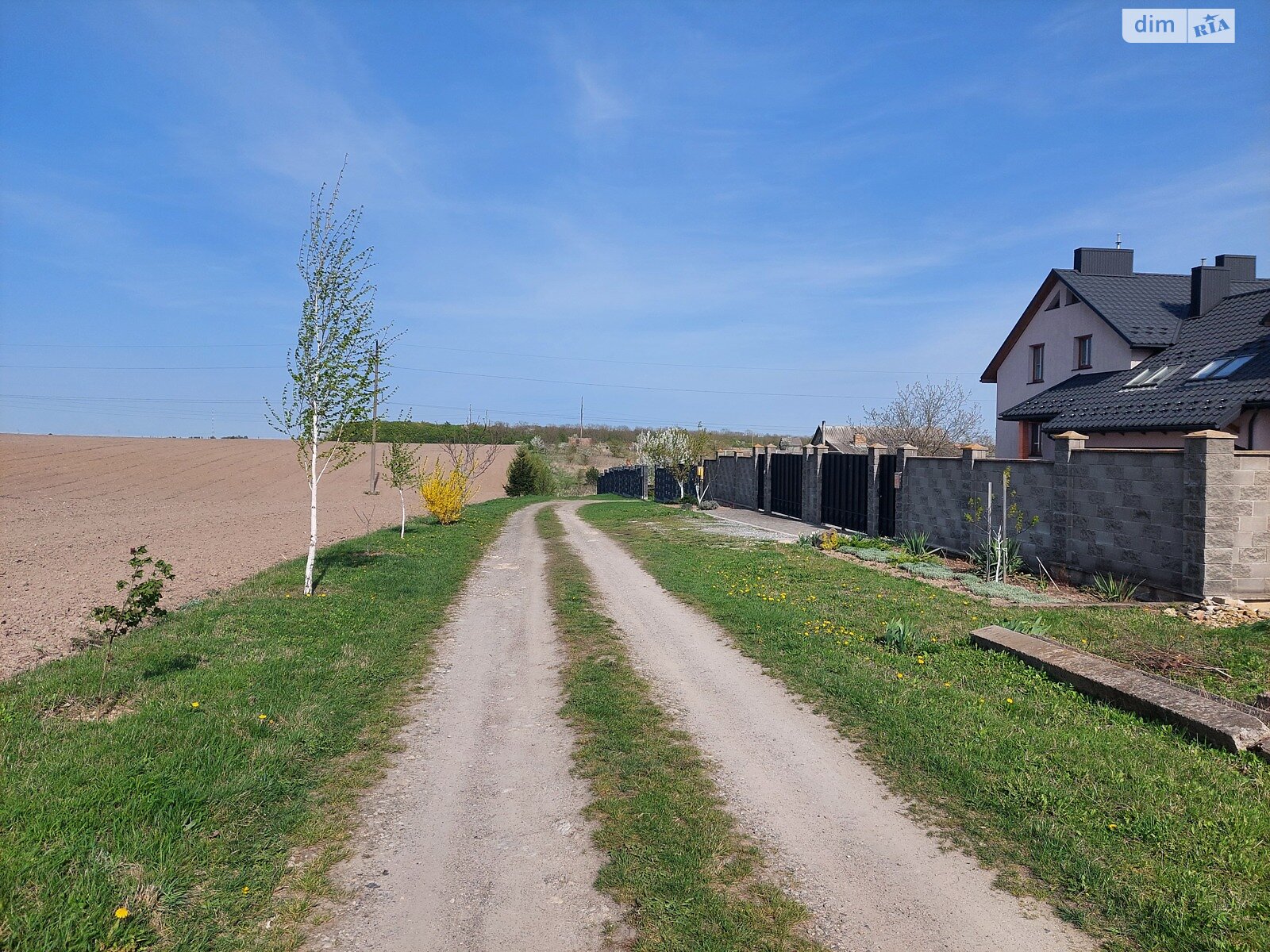 Земельна ділянка сільськогосподарського призначення в Порозове, площа 38 соток фото 1