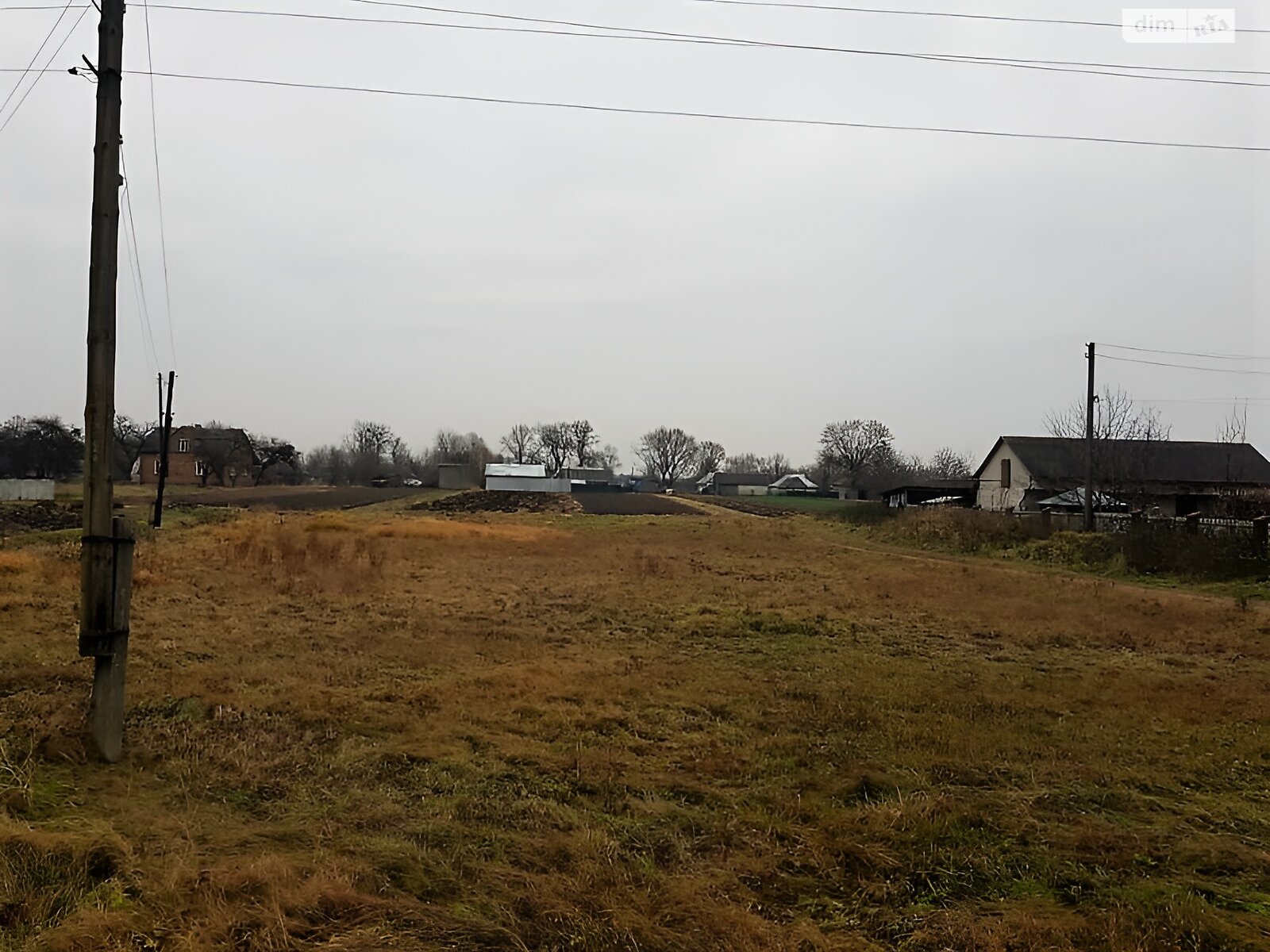 Земельна ділянка сільськогосподарського призначення в Прибужанах, площа 16.1 сотки фото 1 Земельна ділянка сільськогосподарського призначення в Прибужанах, площа 16.1 сотки фото 1