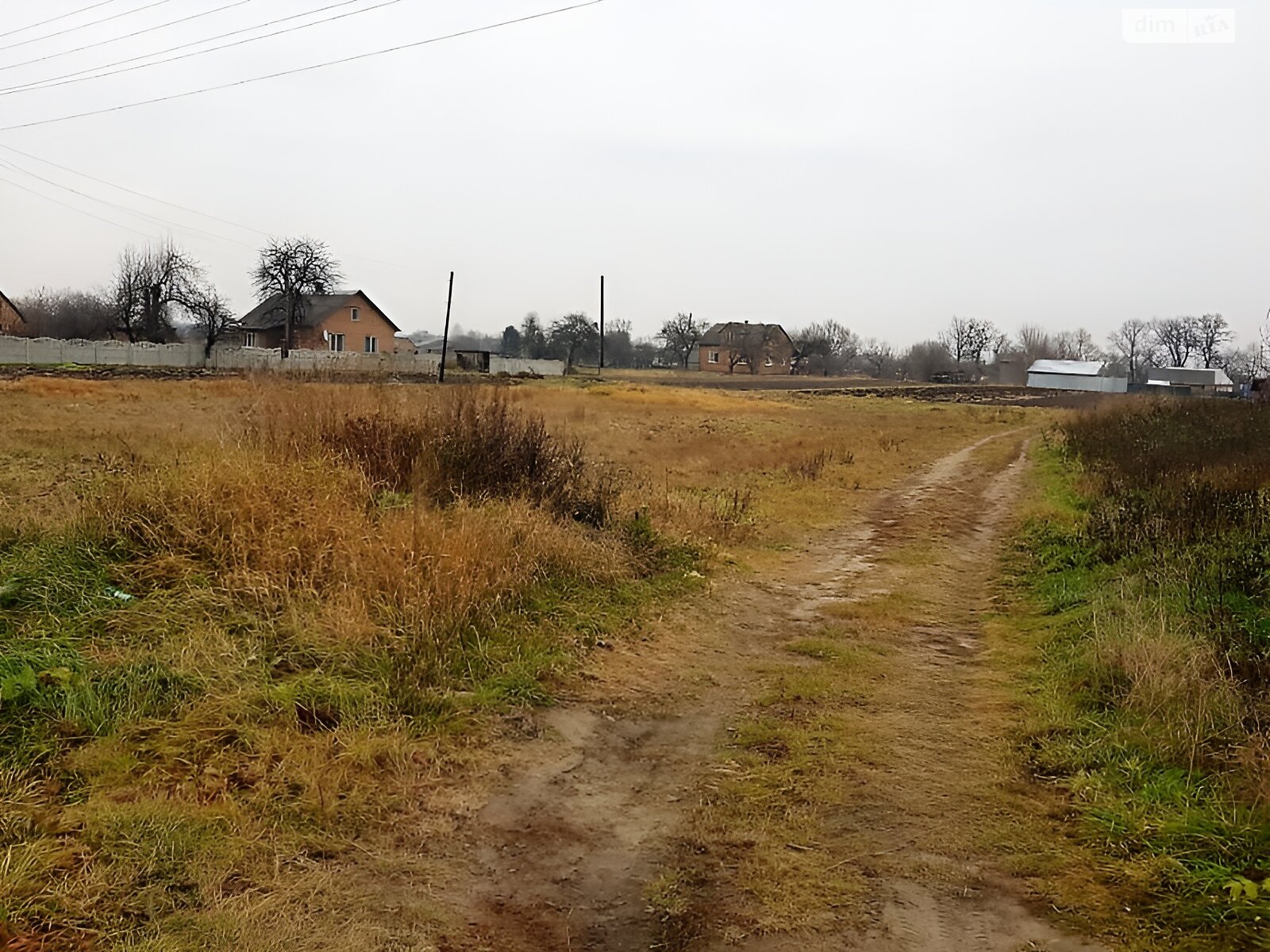 Земельна ділянка сільськогосподарського призначення в Прибужанах, площа 16.1 сотки фото 1 Земельна ділянка сільськогосподарського призначення в Прибужанах, площа 16.1 сотки фото 1