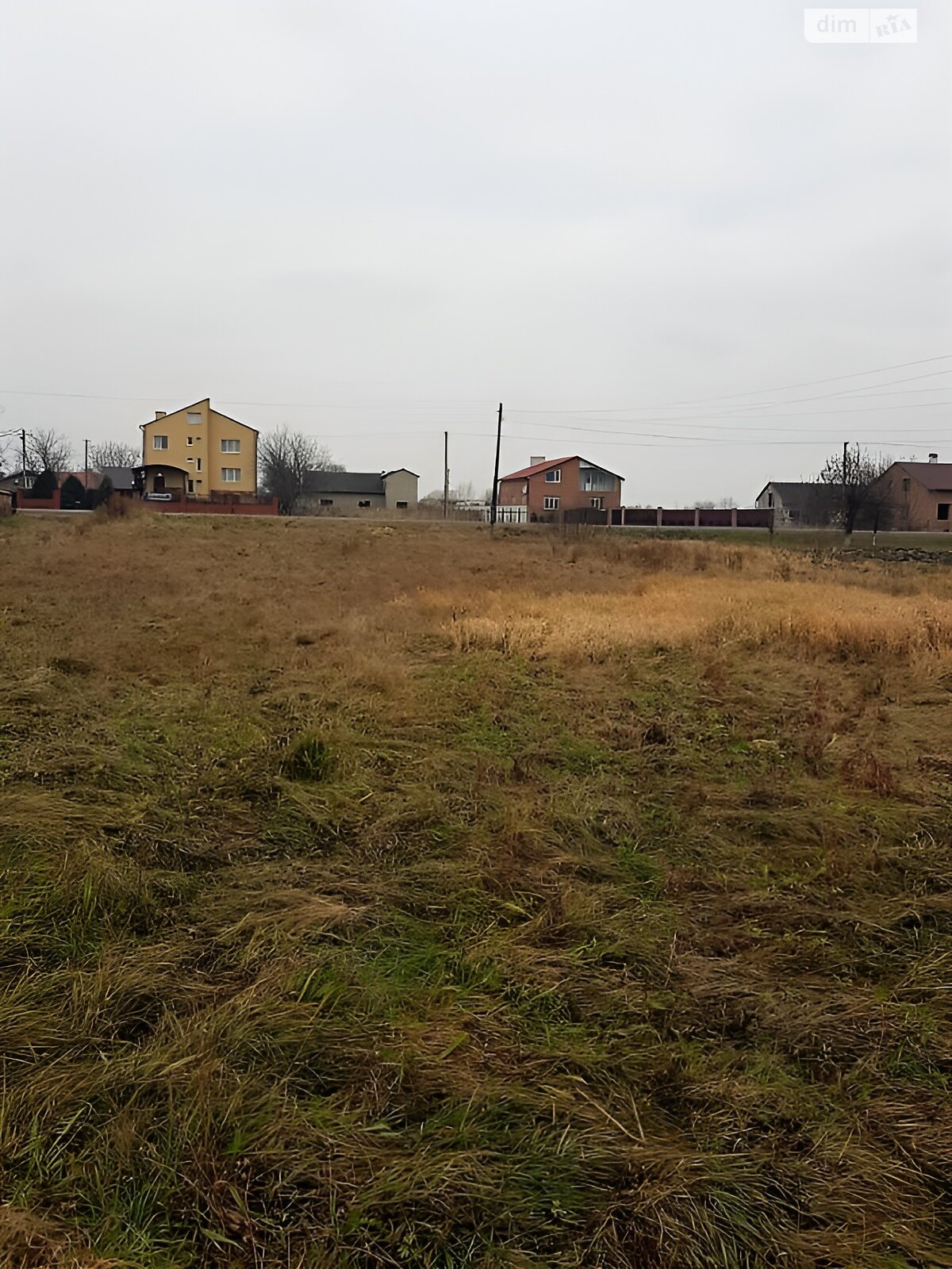 Земельна ділянка сільськогосподарського призначення в Прибужанах, площа 16.1 сотки фото 1 Земельна ділянка сільськогосподарського призначення в Прибужанах, площа 16.1 сотки фото 1
