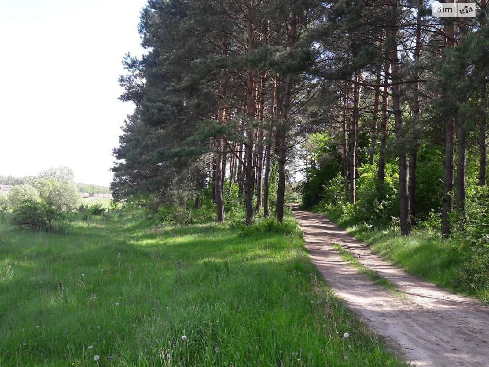 Земельна ділянка сільськогосподарського призначення в Прибузькому, площа 10 соток фото 1