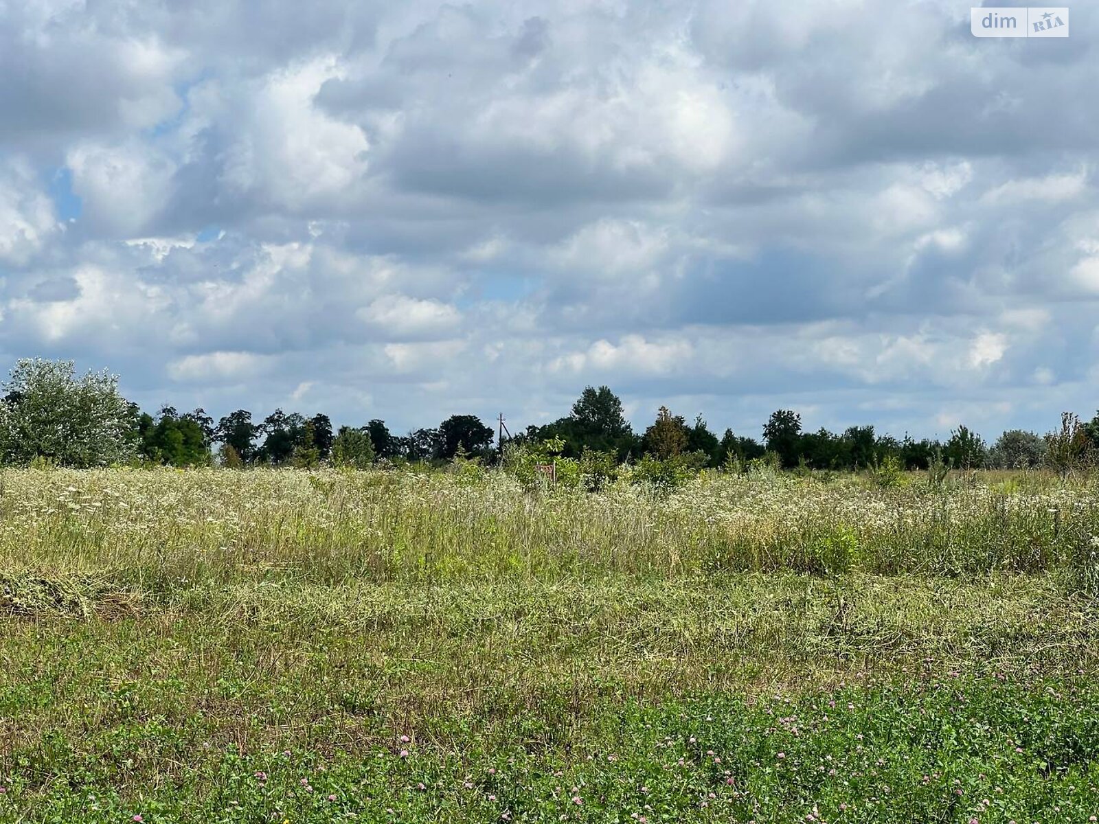 Земельный участок сельскохозяйственного назначения в Прибужскому, площадь 8 соток фото 1