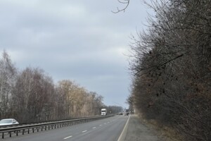 Земельный участок сельскохозяйственного назначения в Прибужском, площадь 5 Га фото 2