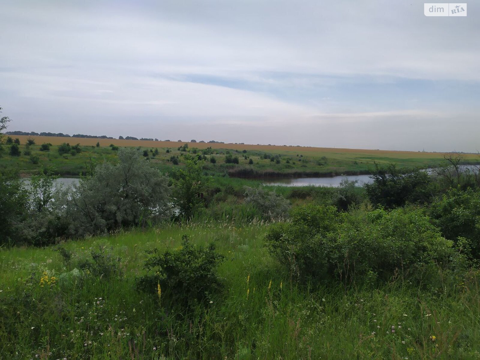 Земельный участок сельскохозяйственного назначения в Прилиманском, площадь 8.2 сотки фото 1 Земельный участок сельскохозяйственного назначения в Прилиманском, площадь 8.2 сотки фото 1