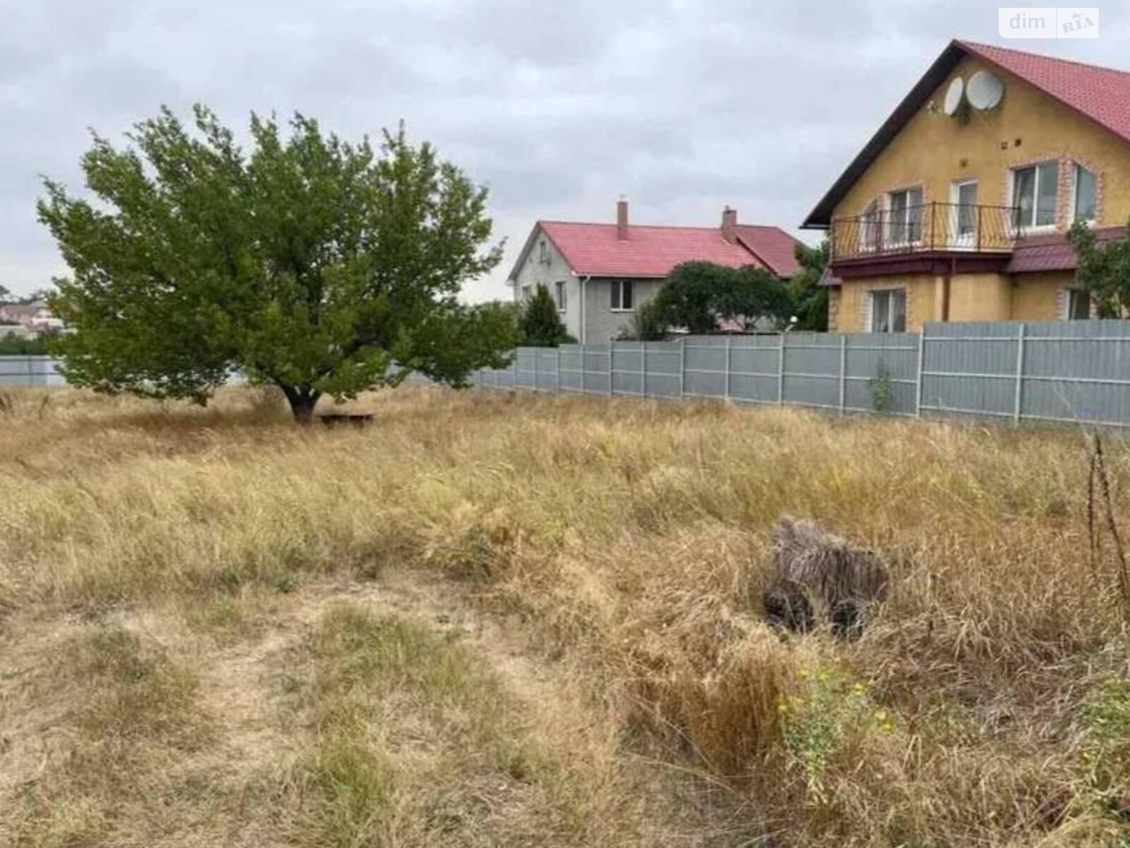 Земельный участок сельскохозяйственного назначения в Прилиманском, площадь 12 соток фото 1