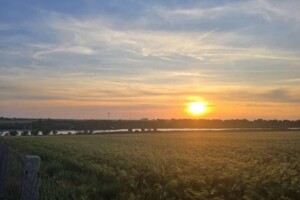 Земельный участок сельскохозяйственного назначения в Прилиманском, площадь 5.02 сотки фото 2