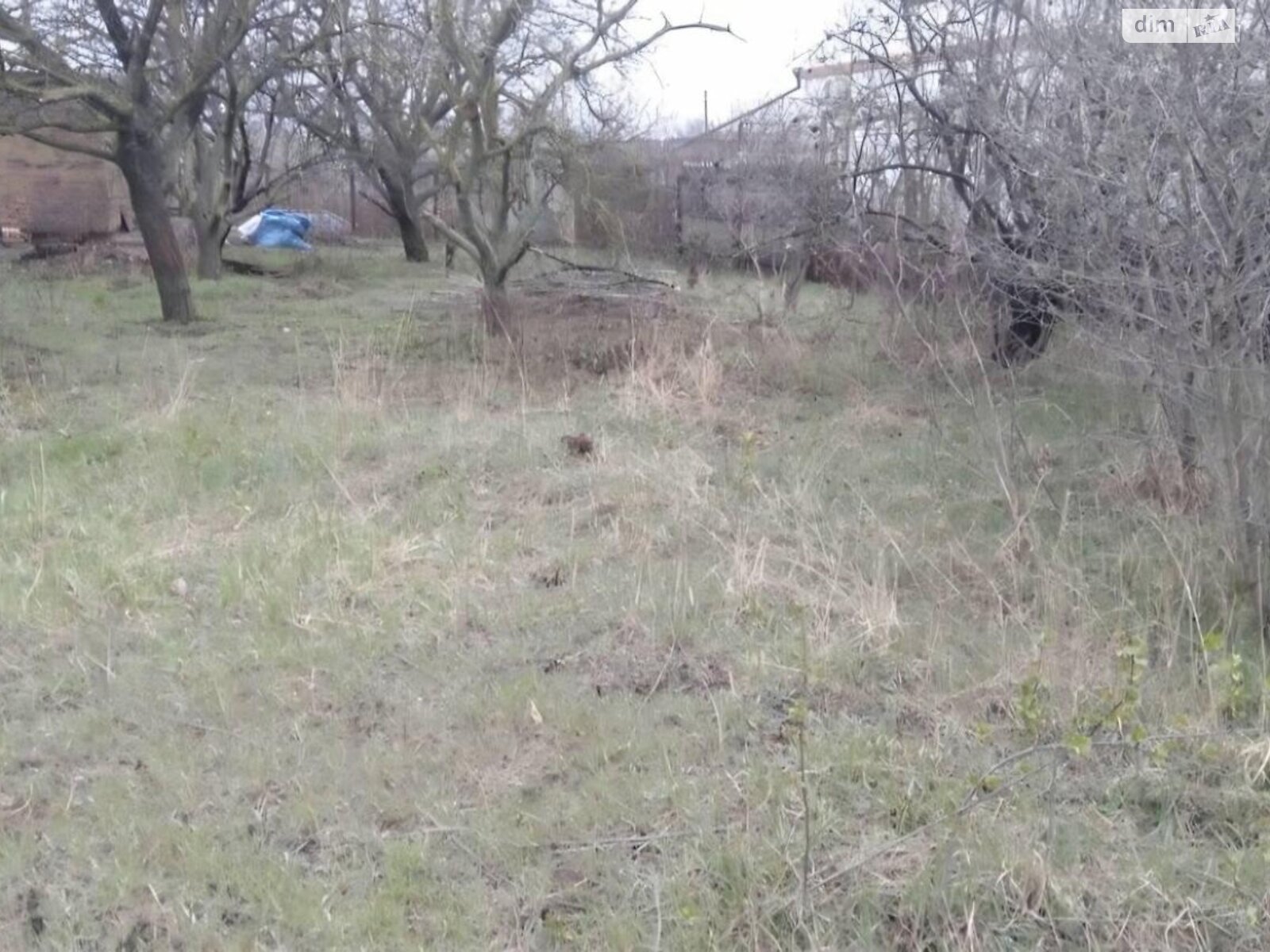 Земельный участок сельскохозяйственного назначения в Прилиманском, площадь 6 соток фото 1