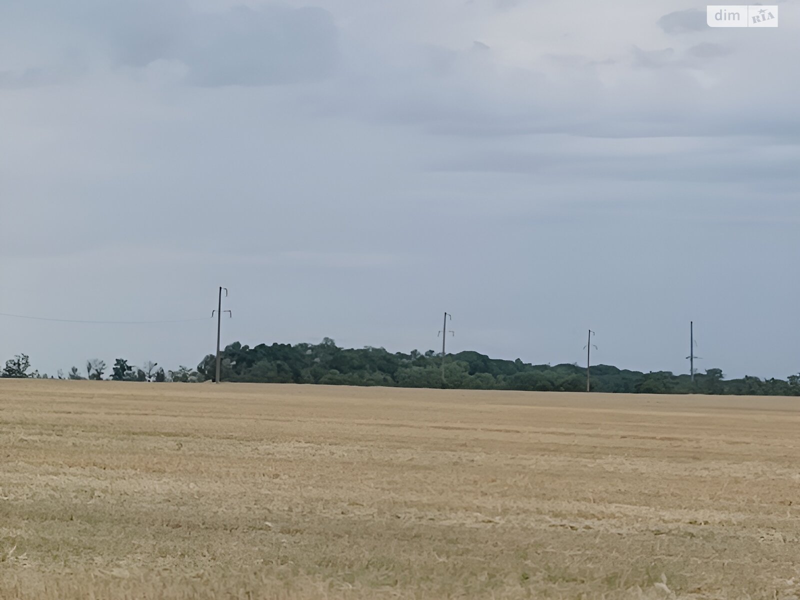 Земельный участок сельскохозяйственного назначения в Приморском, площадь 6 Га фото 1