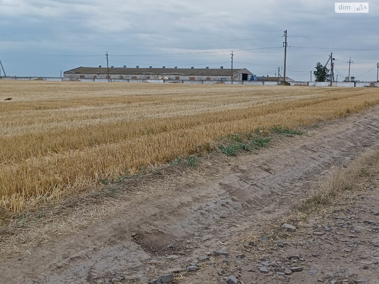 Земельный участок сельскохозяйственного назначения в Приморском, площадь 267 соток фото 1