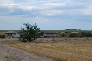 Земельный участок сельскохозяйственного назначения в Приморском, площадь 267 соток фото 2