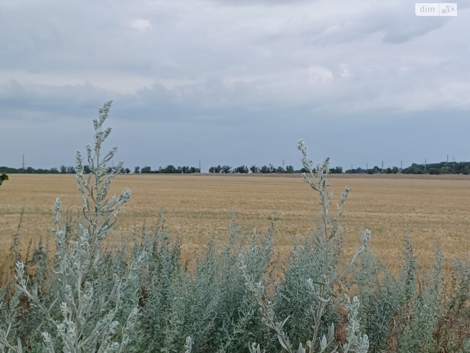 Земельный участок сельскохозяйственного назначения в Приморском, площадь 3.89 Га фото 1