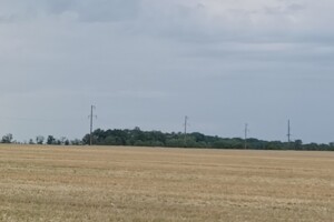 Земельный участок сельскохозяйственного назначения в Приморском, площадь 3.89 Га фото 2