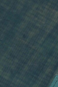 Земельный участок сельскохозяйственного назначения в Пробежной, площадь 2.24 Га фото 1 Земельный участок сельскохозяйственного назначения в Пробежной, площадь 2.24 Га фото 1