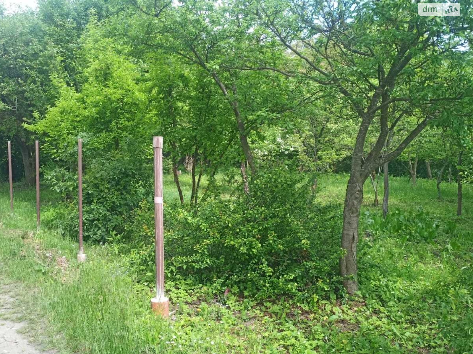 Земельный участок сельскохозяйственного назначения в Прошовой, площадь 5.86 сотки фото 1 Земельный участок сельскохозяйственного назначения в Прошовой, площадь 5.86 сотки фото 1