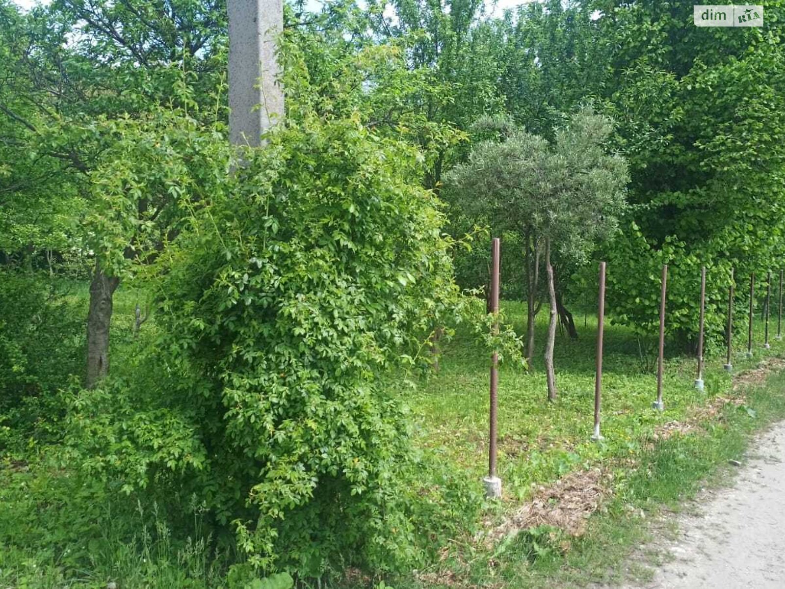 Земельный участок сельскохозяйственного назначения в Прошовой, площадь 5.86 сотки фото 1 Земельный участок сельскохозяйственного назначения в Прошовой, площадь 5.86 сотки фото 1