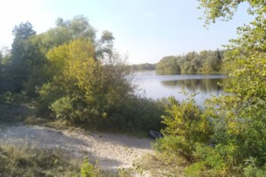 Земельна ділянка сільськогосподарського призначення в Проточах, площа 2 Га фото 2