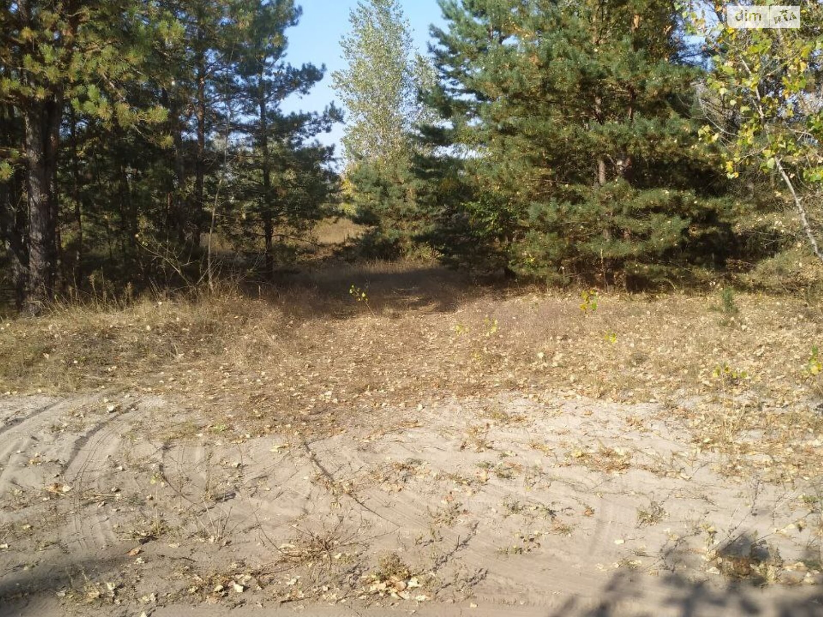 Земельна ділянка сільськогосподарського призначення в Проточах, площа 2 Га фото 1