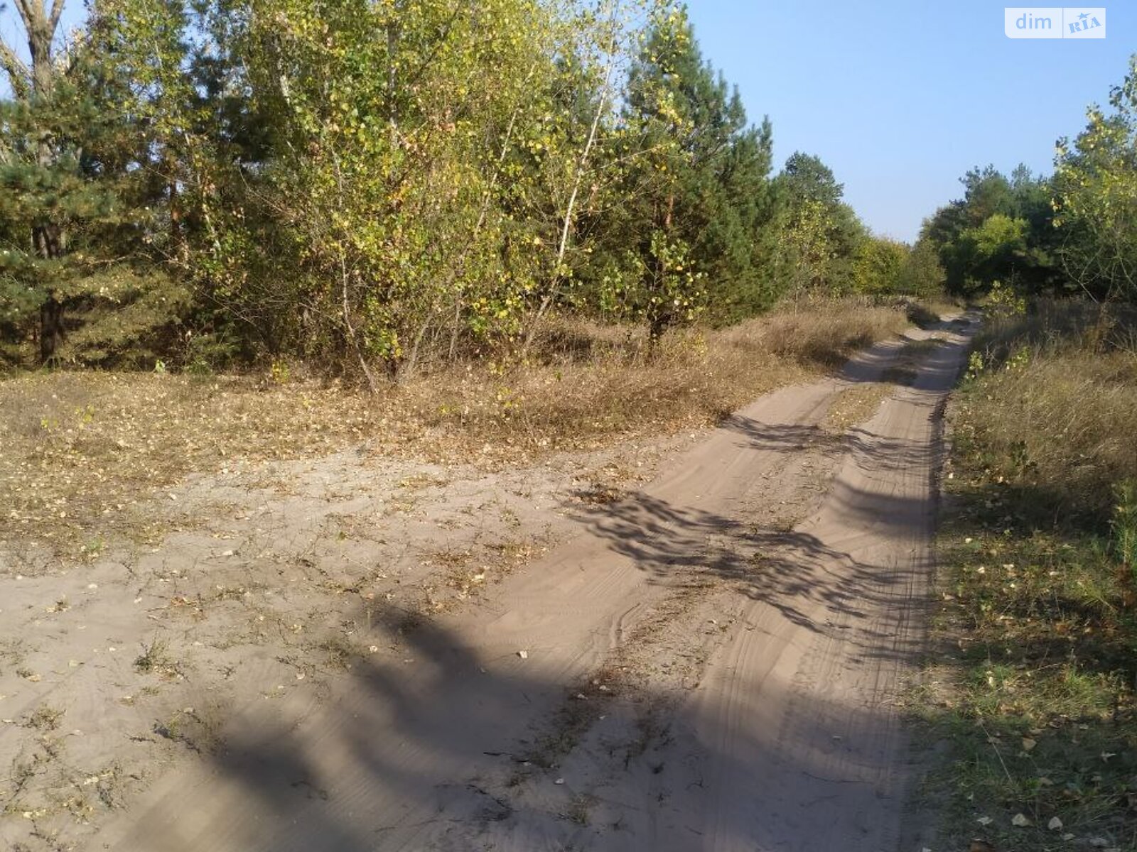 Земельна ділянка сільськогосподарського призначення в Проточах, площа 2 Га фото 1