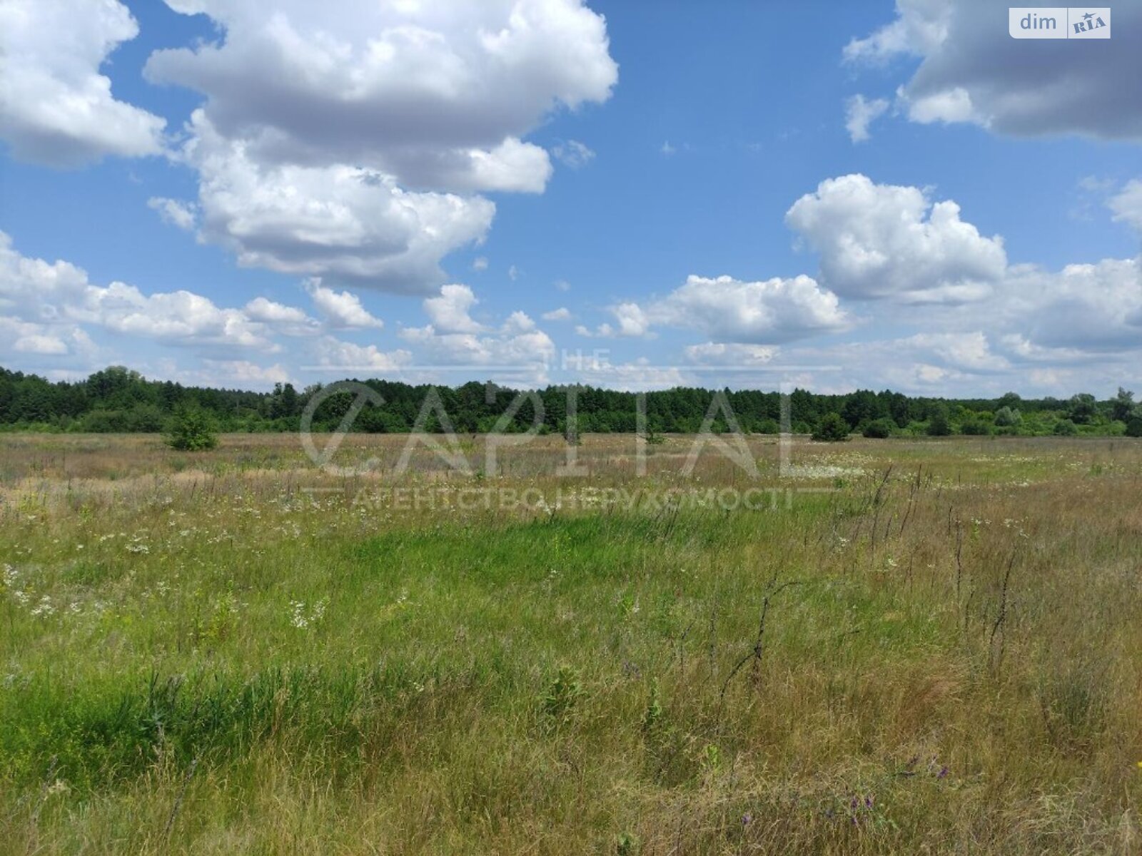 Земельный участок сельскохозяйственного назначения в Процеве, площадь 600 соток фото 1