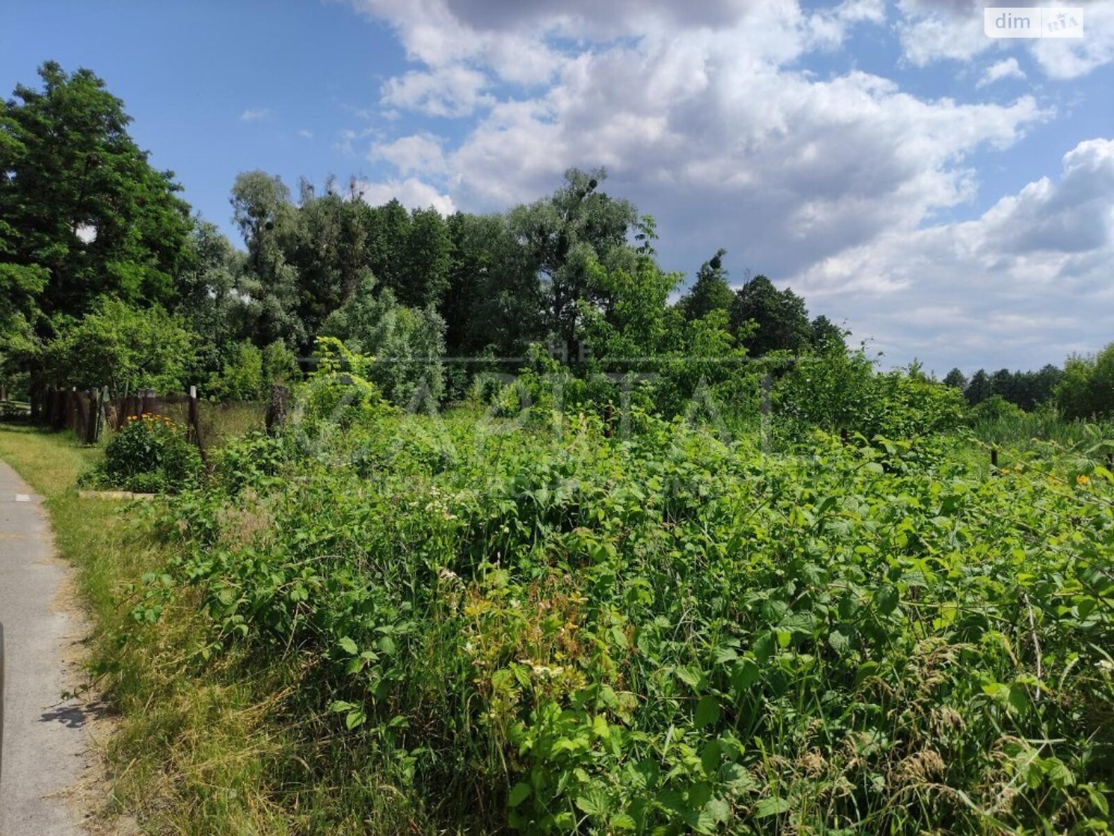 Земельный участок сельскохозяйственного назначения в Процеве, площадь 600 соток фото 1