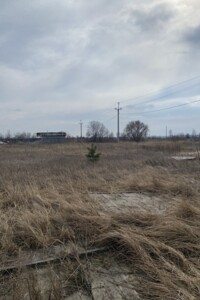 Земельна ділянка сільськогосподарського призначення в Процеві, площа 17.1 сотки фото 2