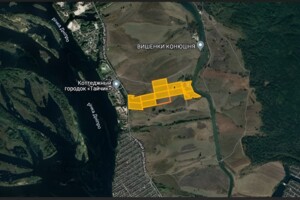 Земельна ділянка сільськогосподарського призначення в Процеві, площа 199.99 сотки фото 2