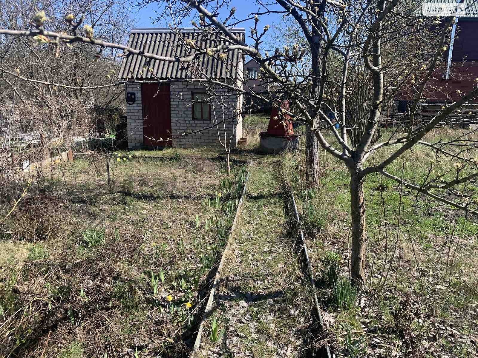 Земельна ділянка сільськогосподарського призначення в Пряжеві, площа 4.5 сотки фото 1