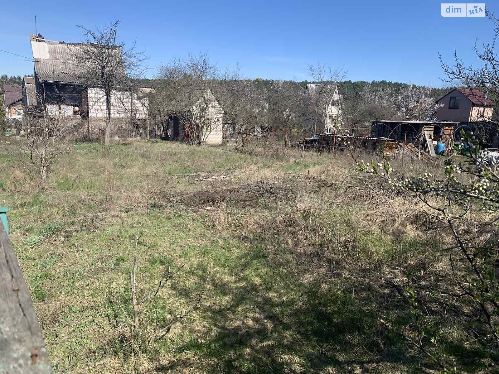 Земельна ділянка сільськогосподарського призначення в Пряжеві, площа 4.5 сотки фото 1