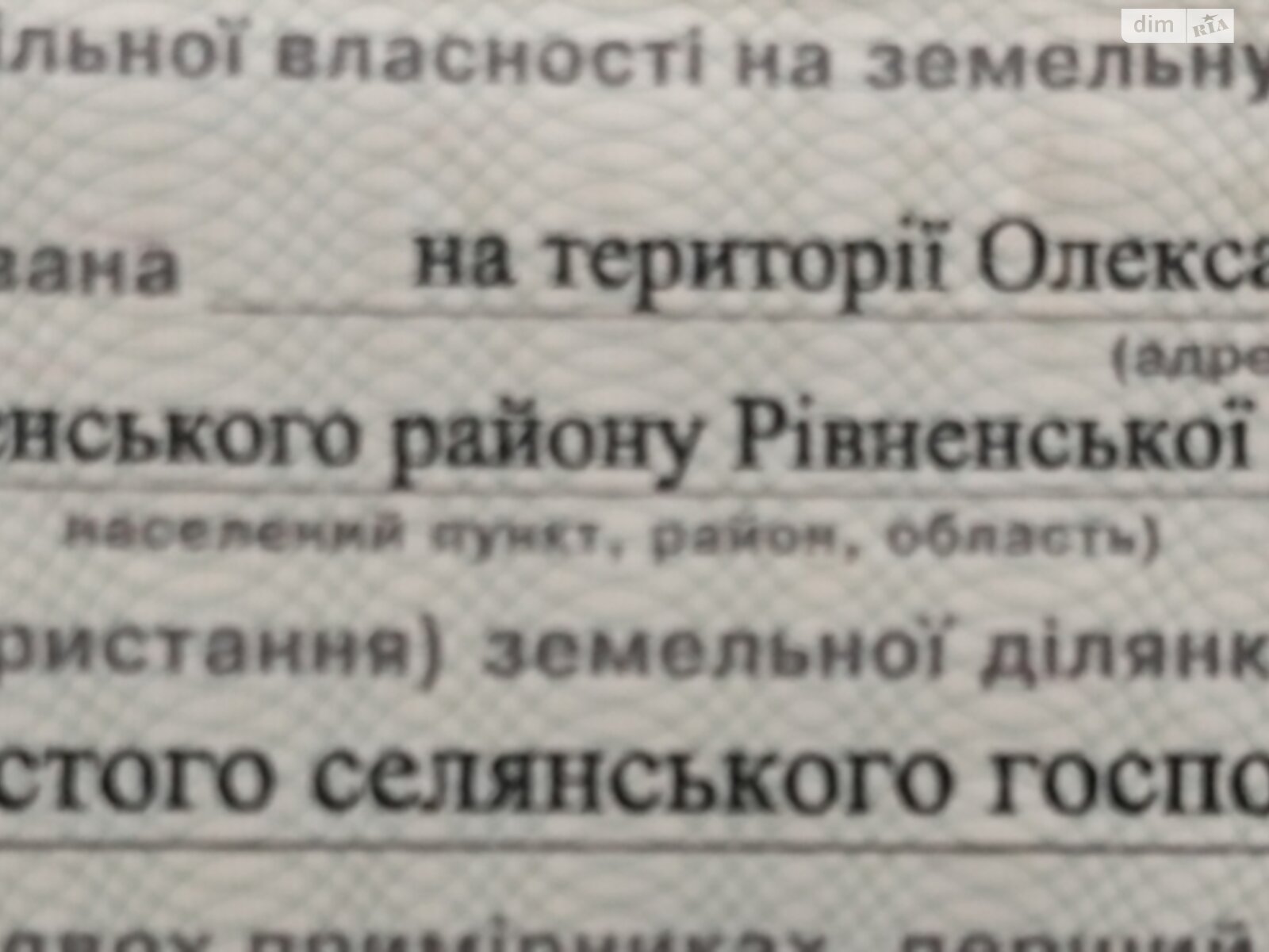 Земельный участок сельскохозяйственного назначения в Пуховой, площадь 2.9782 Га фото 1
