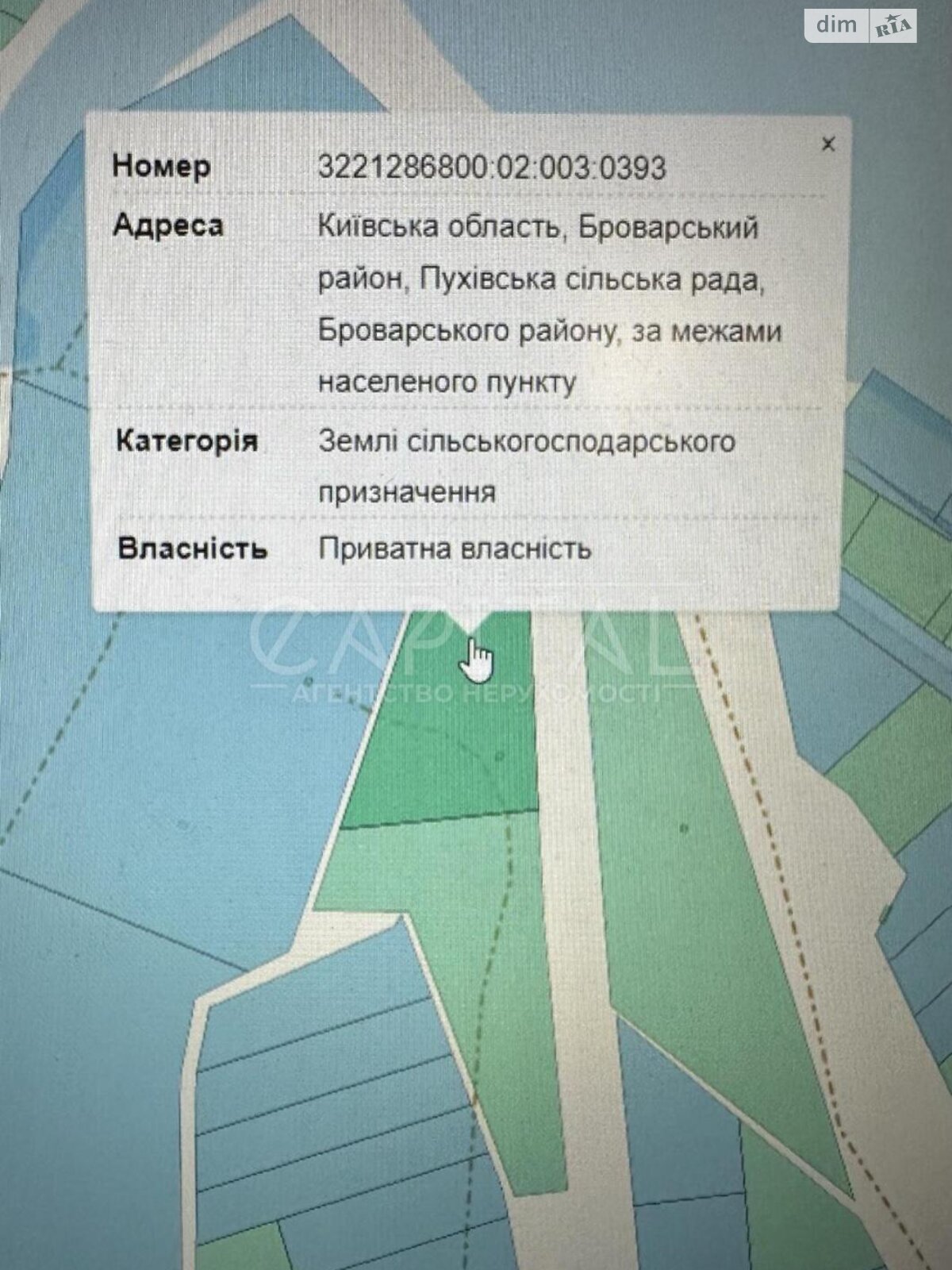 Земельна ділянка сільськогосподарського призначення в Пухівці, площа 103 сотки фото 1