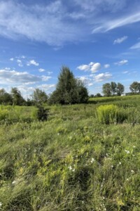 Земельный участок сельскохозяйственного назначения в Пуховке, площадь 10 соток фото 2