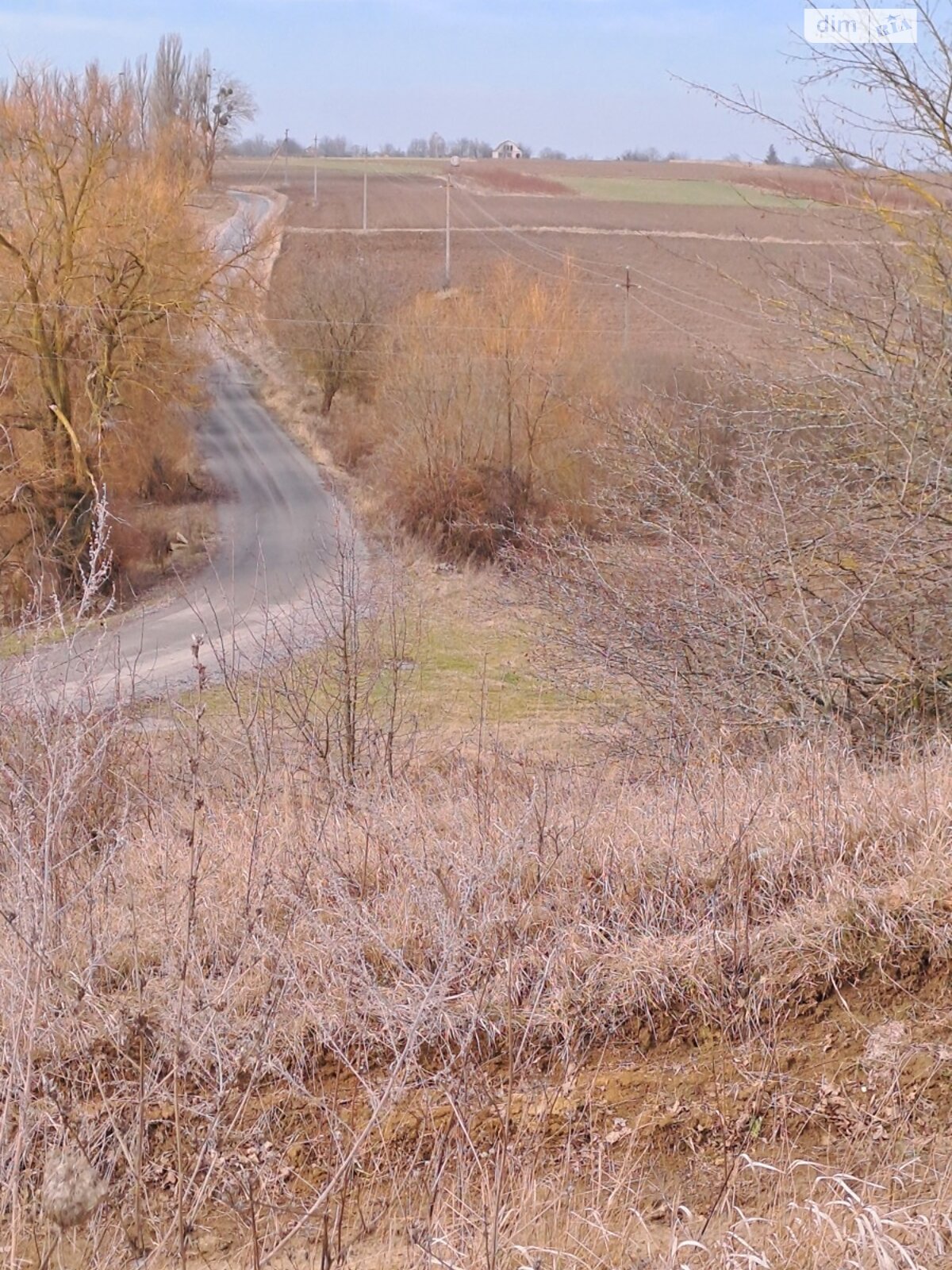Земельный участок сельскохозяйственного назначения в Пултовцах, площадь 80 соток фото 1