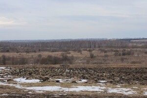 Земельный участок сельскохозяйственного назначения в Николаеве, площадь 128 соток фото 2