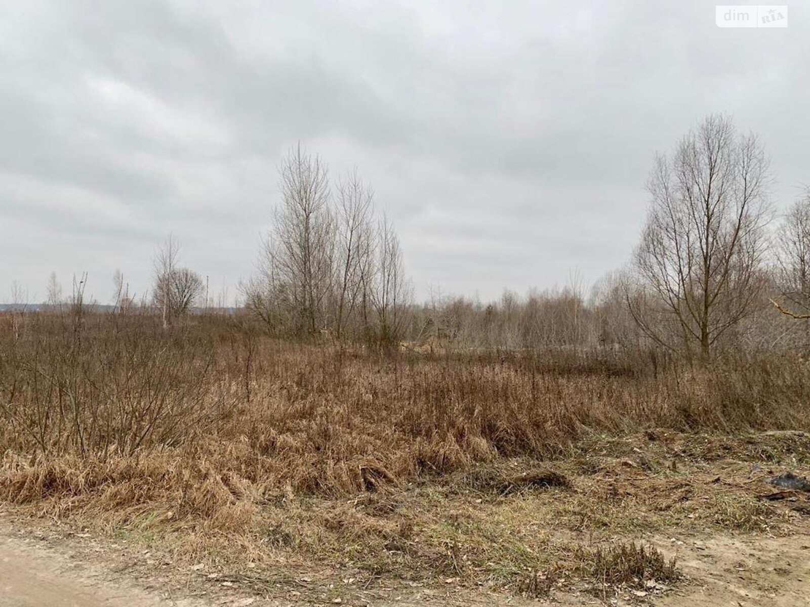 Земельный участок сельскохозяйственного назначения в Путровке, площадь 1500 соток фото 1