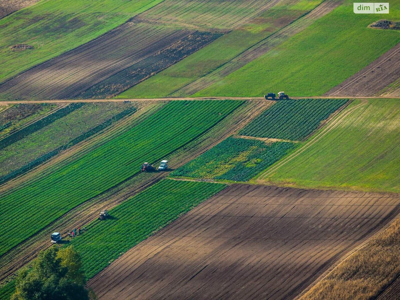 Земельный участок сельскохозяйственного назначения в Рачках, площадь 6.55 Га фото 1