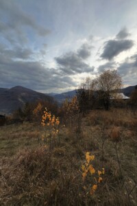 Земельный участок сельскохозяйственного назначения в Рахове, площадь 0.15 Га фото 2 Земельный участок сельскохозяйственного назначения в Рахове, площадь 0.15 Га фото 2