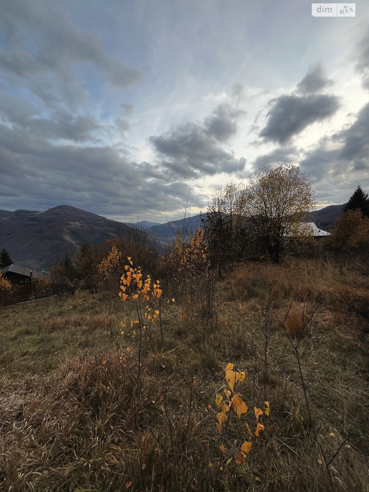 Земельный участок сельскохозяйственного назначения в Рахове, площадь 0.15 Га фото 1 Земельный участок сельскохозяйственного назначения в Рахове, площадь 0.15 Га фото 1