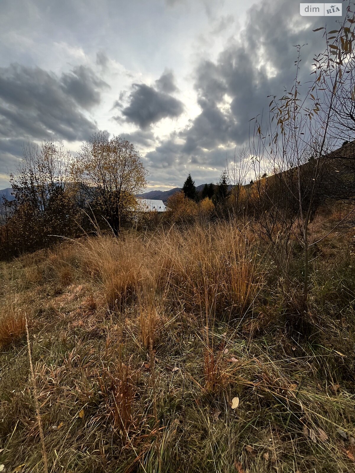 Земельный участок сельскохозяйственного назначения в Рахове, площадь 0.15 Га фото 1 Земельный участок сельскохозяйственного назначения в Рахове, площадь 0.15 Га фото 1