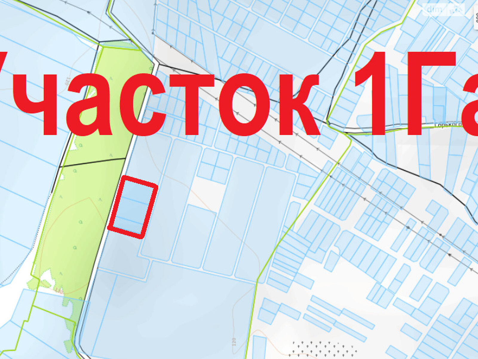 Земельный участок сельскохозяйственного назначения в Ревном, площадь 1 Га фото 1