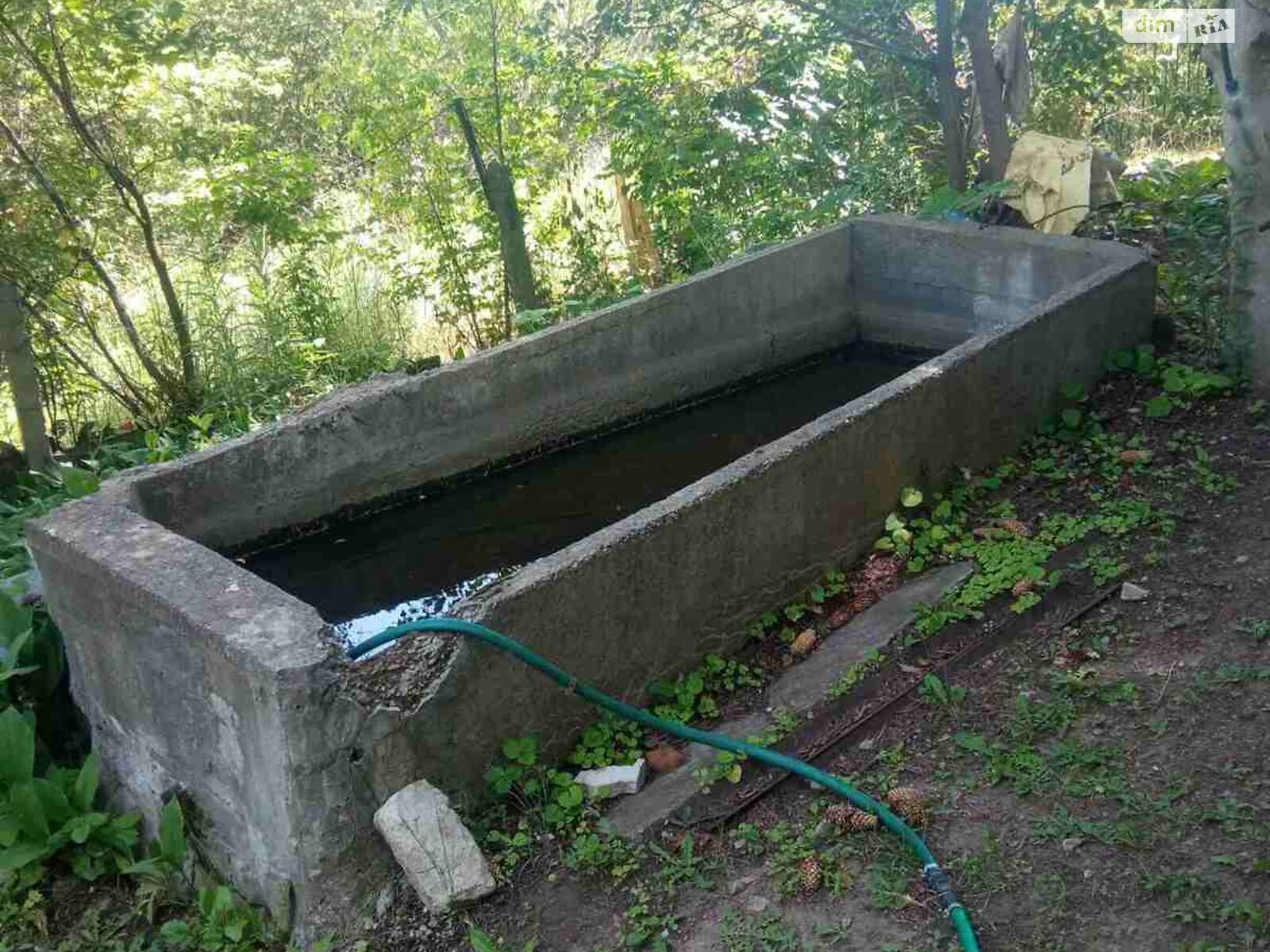 Земельный участок сельскохозяйственного назначения в Ржавце, площадь 6 соток фото 1 Земельный участок сельскохозяйственного назначения в Ржавце, площадь 6 соток фото 1