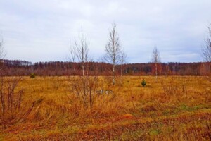 Земельна ділянка сільськогосподарського призначення в Рогожках, площа 200 соток фото 2