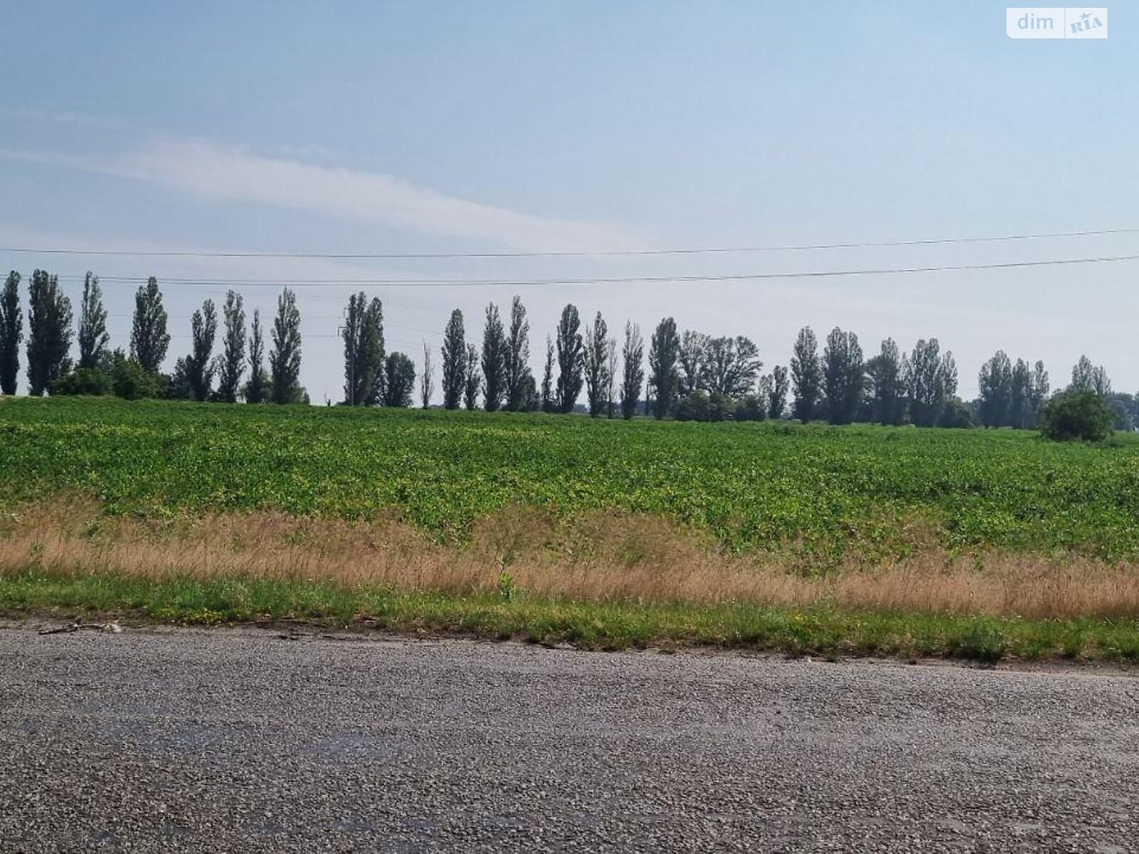 Земельный участок сельскохозяйственного назначения в Рогозове, площадь 200 соток фото 1