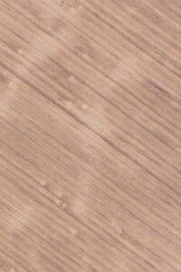 Земельный участок сельскохозяйственного назначения в Рогозове, площадь 3.1813 Га фото 1 Земельный участок сельскохозяйственного назначения в Рогозове, площадь 3.1813 Га фото 1