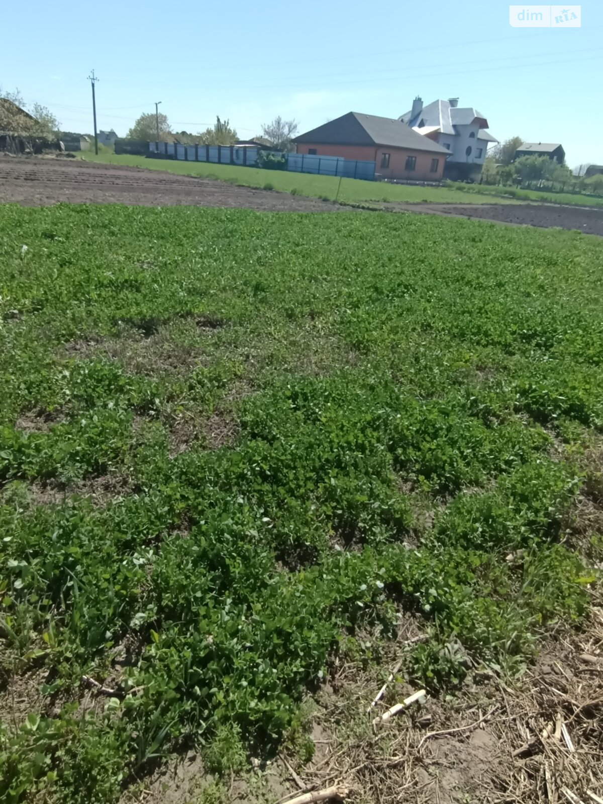 Земельна ділянка сільськогосподарського призначення в Рожнах, площа 1.7542 Га фото 1 Земельна ділянка сільськогосподарського призначення в Рожнах, площа 1.7542 Га фото 1